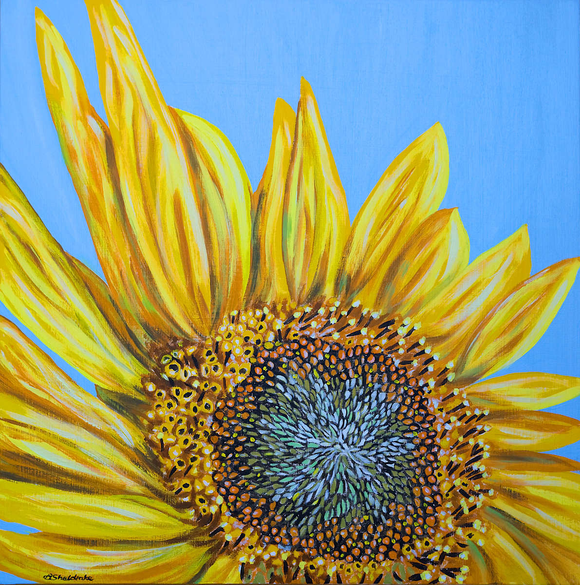 Golden Patterns by Alyson Sheldrake, Image 1.