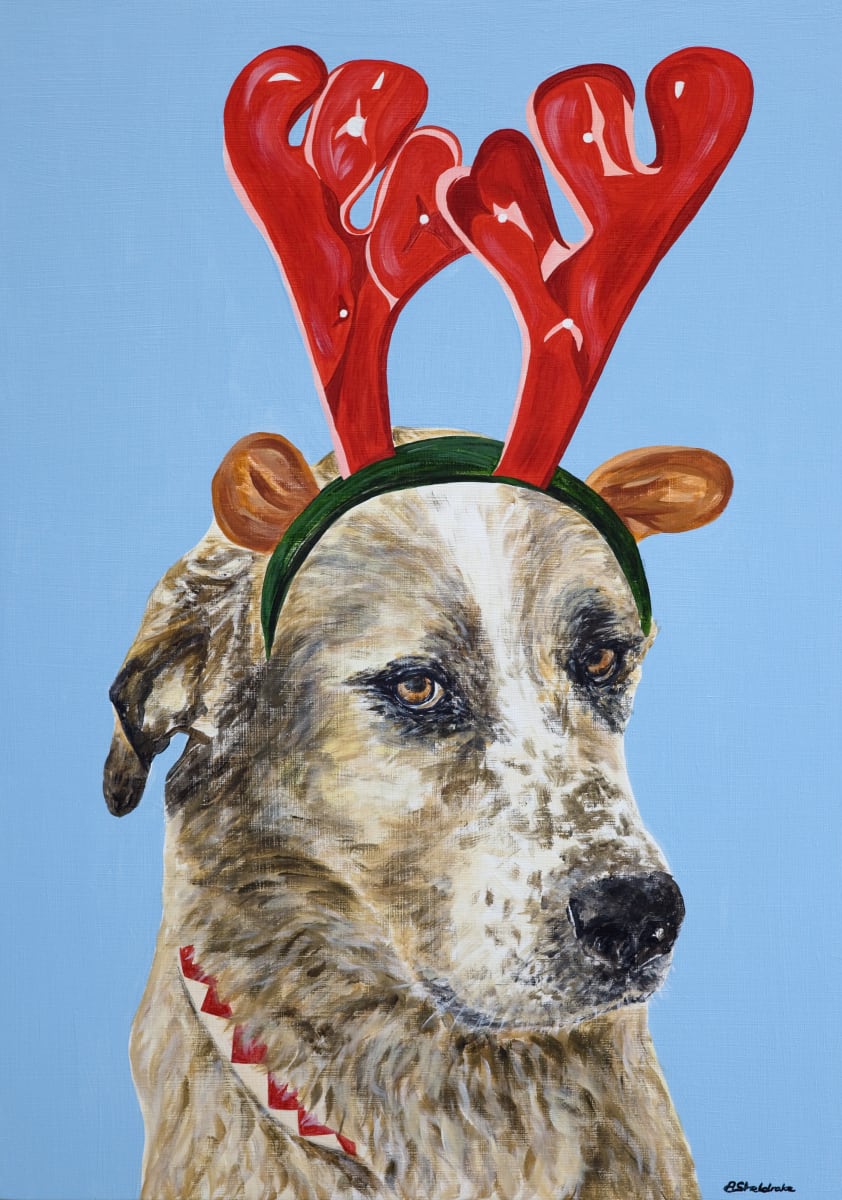 Harvey by Alyson Sheldrake 