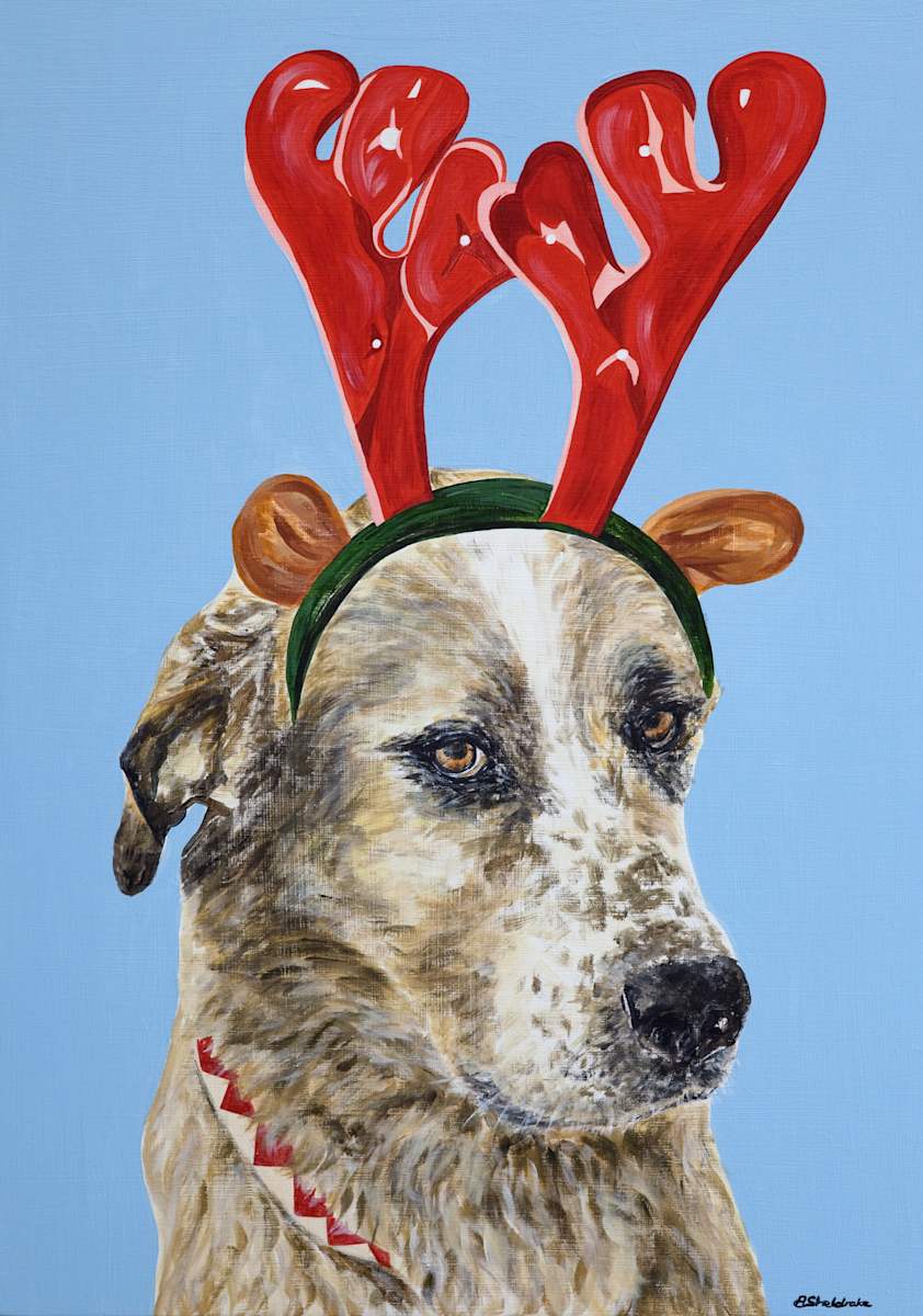 Harvey by Alyson Sheldrake, Image 1.