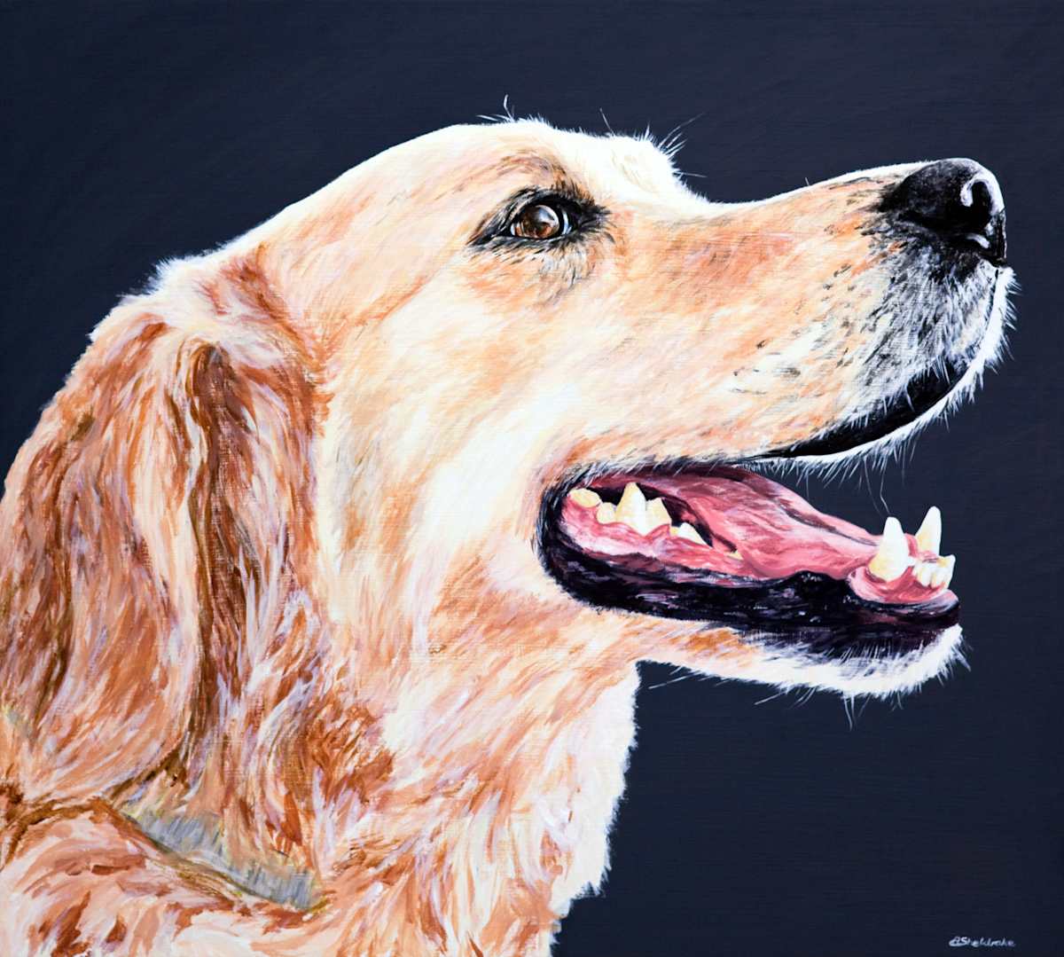 Jake by Alyson Sheldrake, Image 1.