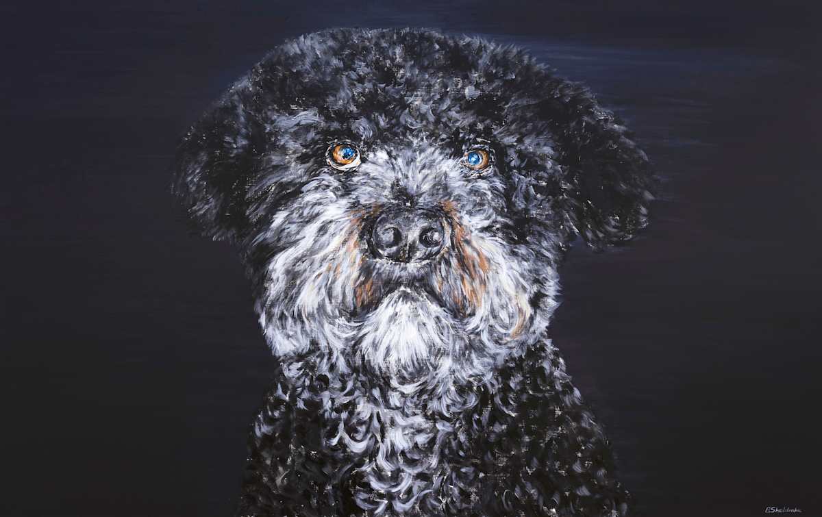 Kat by Alyson Sheldrake, Image 1.