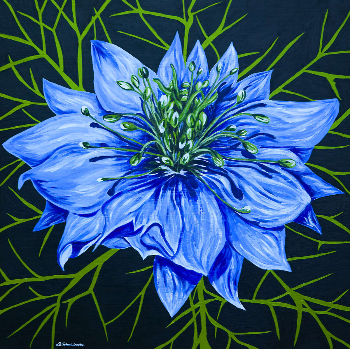 Love in a Mist by Alyson Sheldrake 