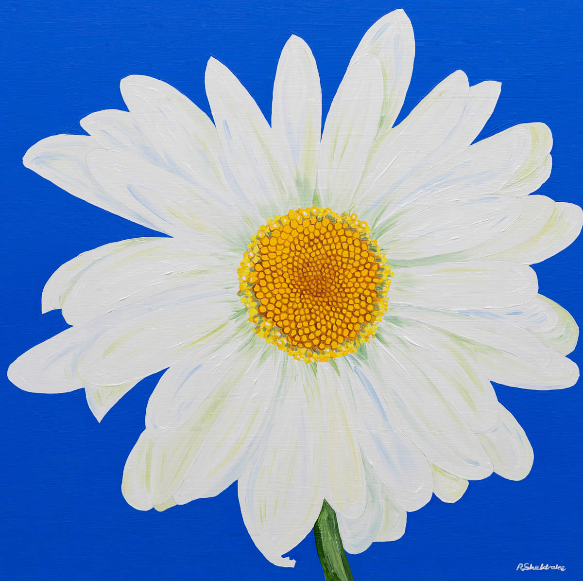 Margarida by Alyson Sheldrake, Image 1.