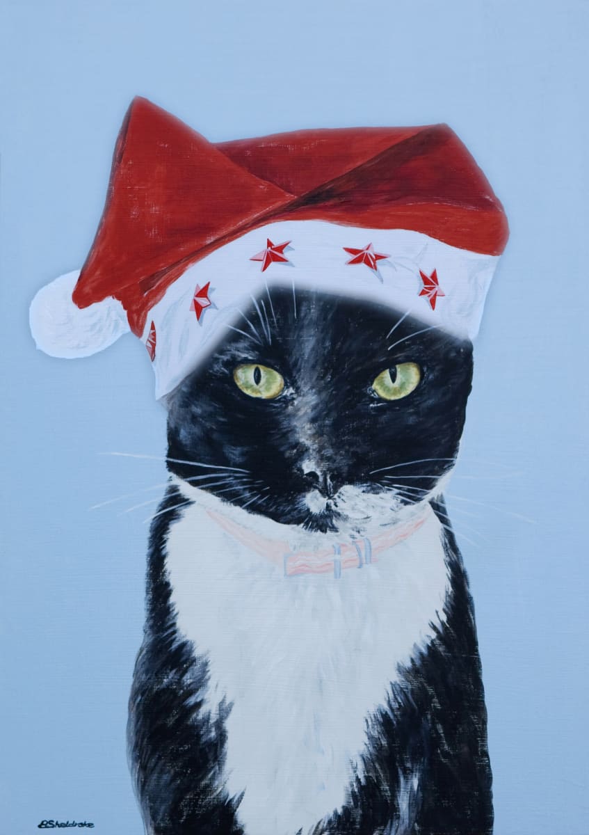 Molly cat by Alyson Sheldrake, Image 1.