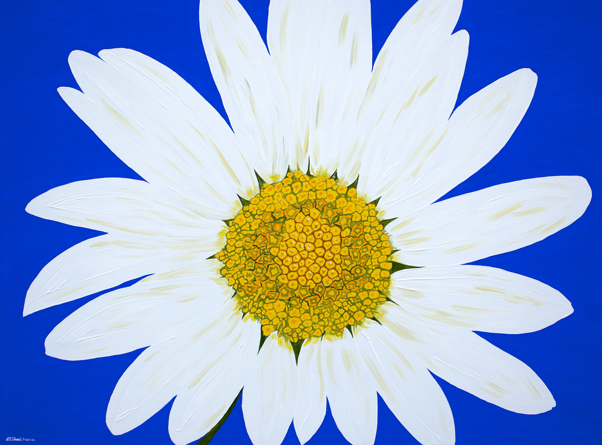 Oops-a-Daisy by Alyson Sheldrake 