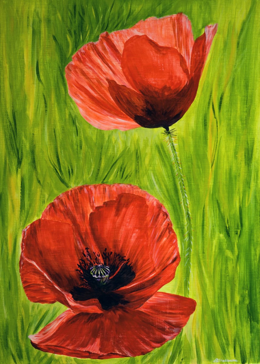 Poppies by Alyson Sheldrake 