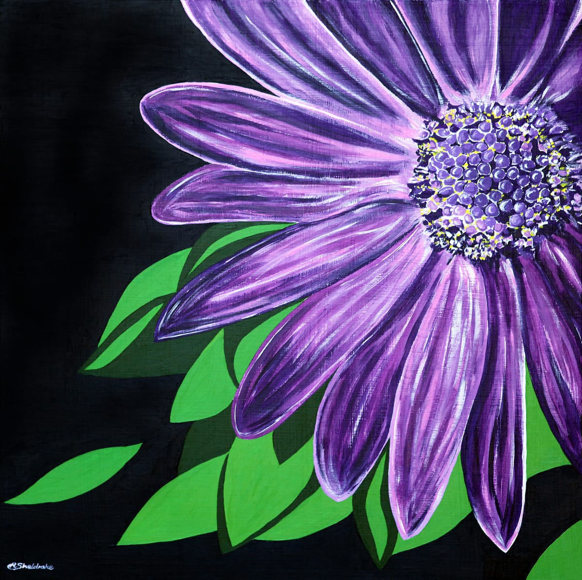 Purple Star by Alyson Sheldrake 