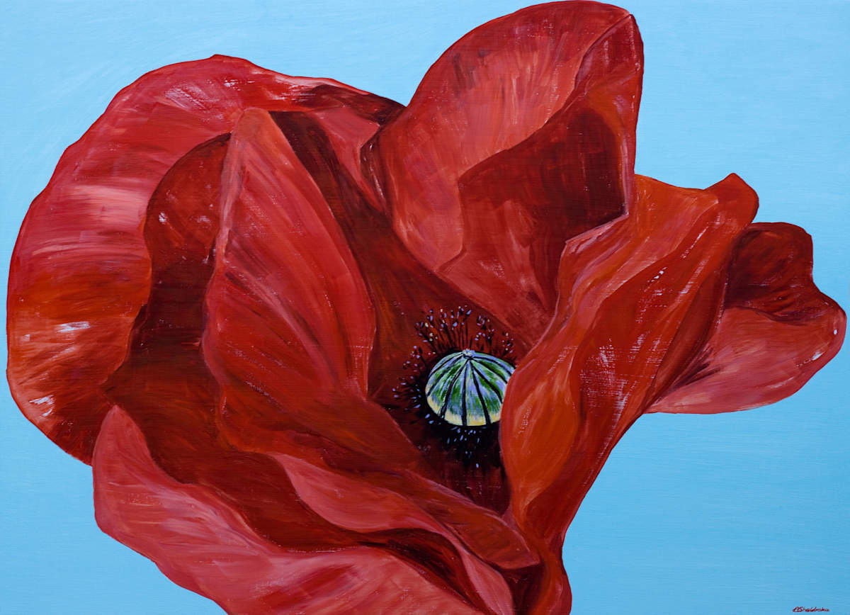 Red Rum by Alyson Sheldrake, Image 1.