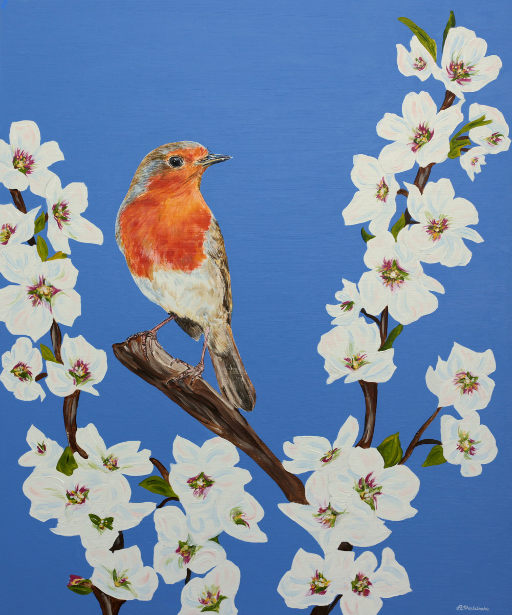 Robin in Blossom by Alyson Sheldrake 