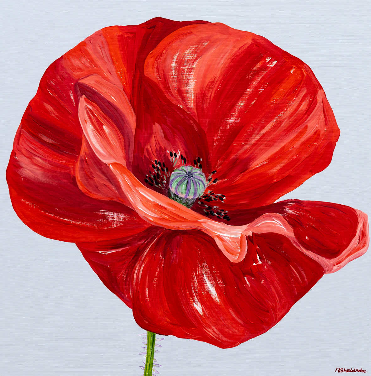 Ruby by Alyson Sheldrake, Image 1.