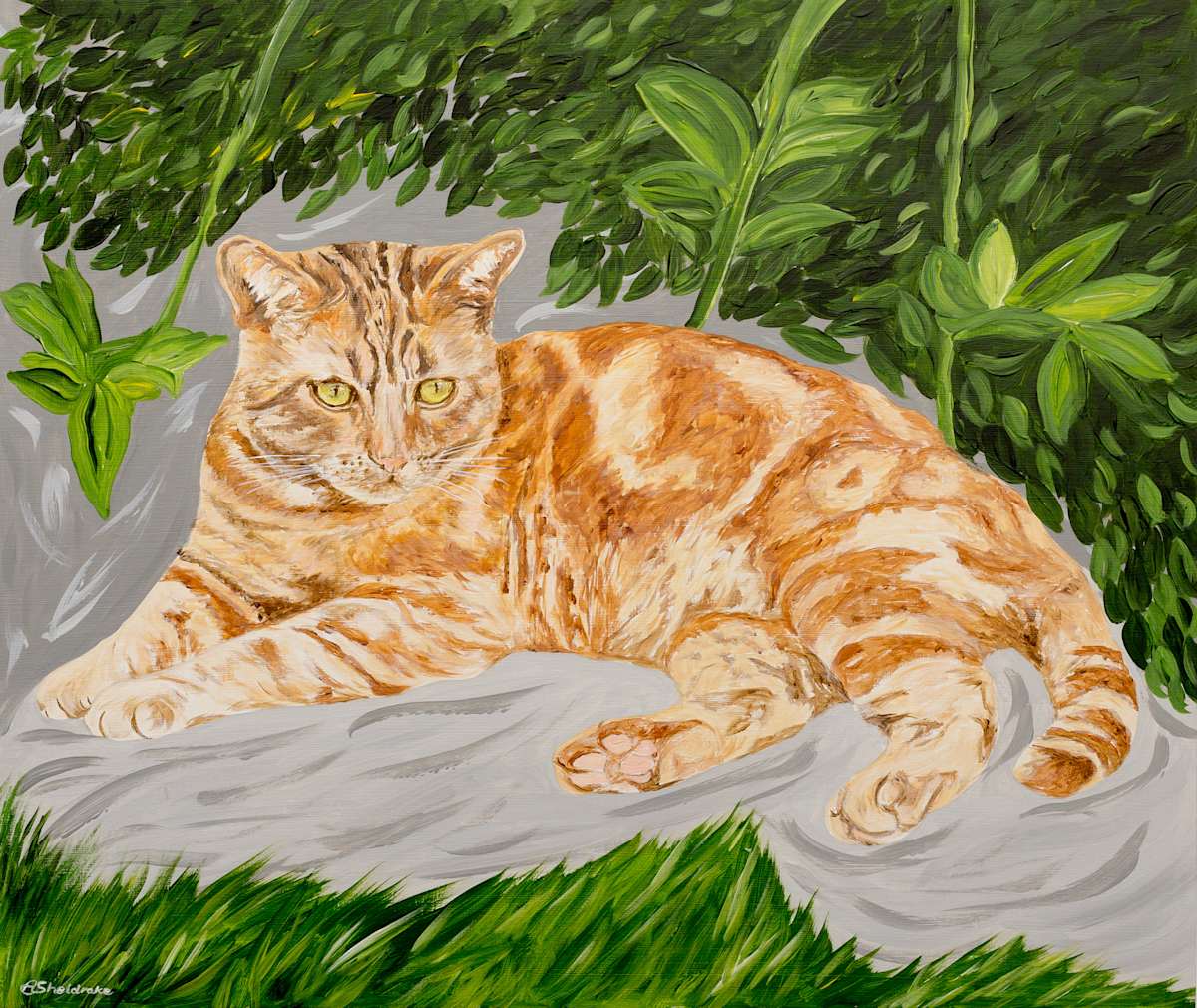 Rufus Jock by Alyson Sheldrake, Image 1.