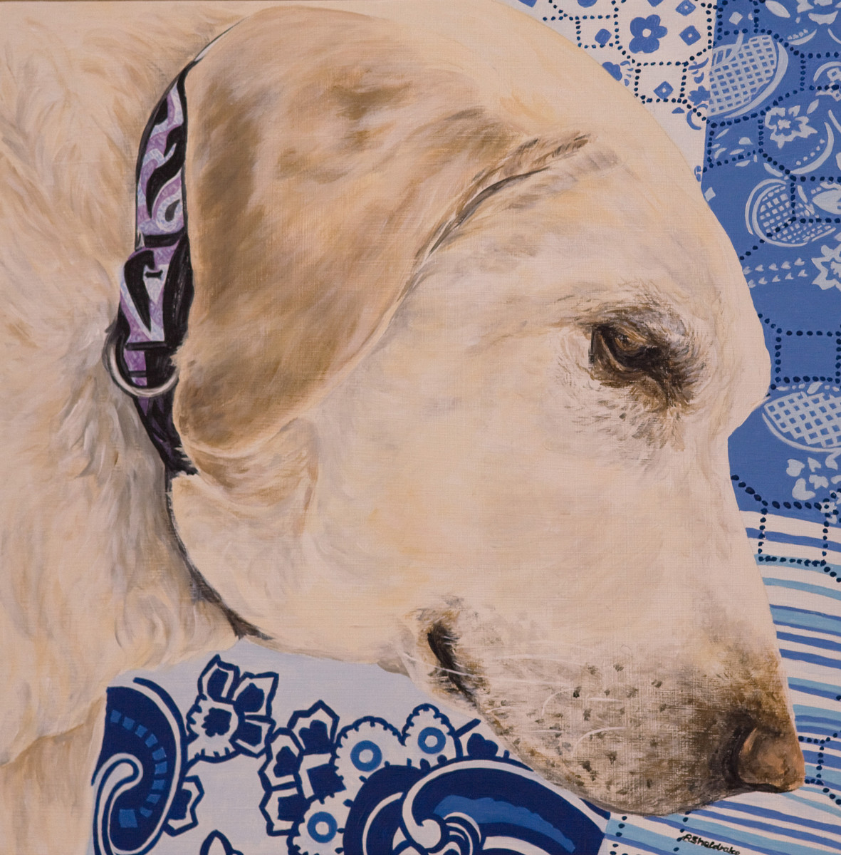 Sage by Alyson Sheldrake 