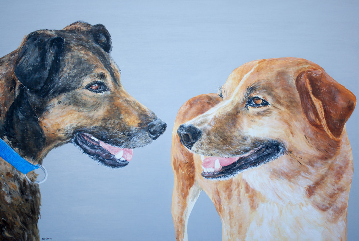 Skippy and Malika by Alyson Sheldrake 