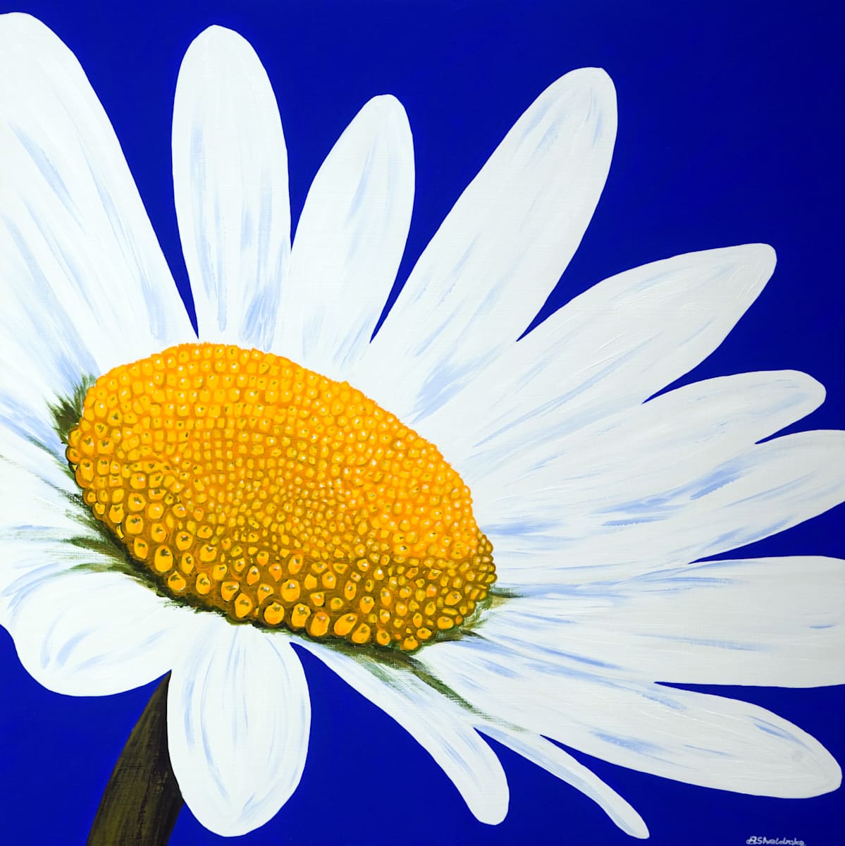 Springtime by Alyson Sheldrake, Image 1.
