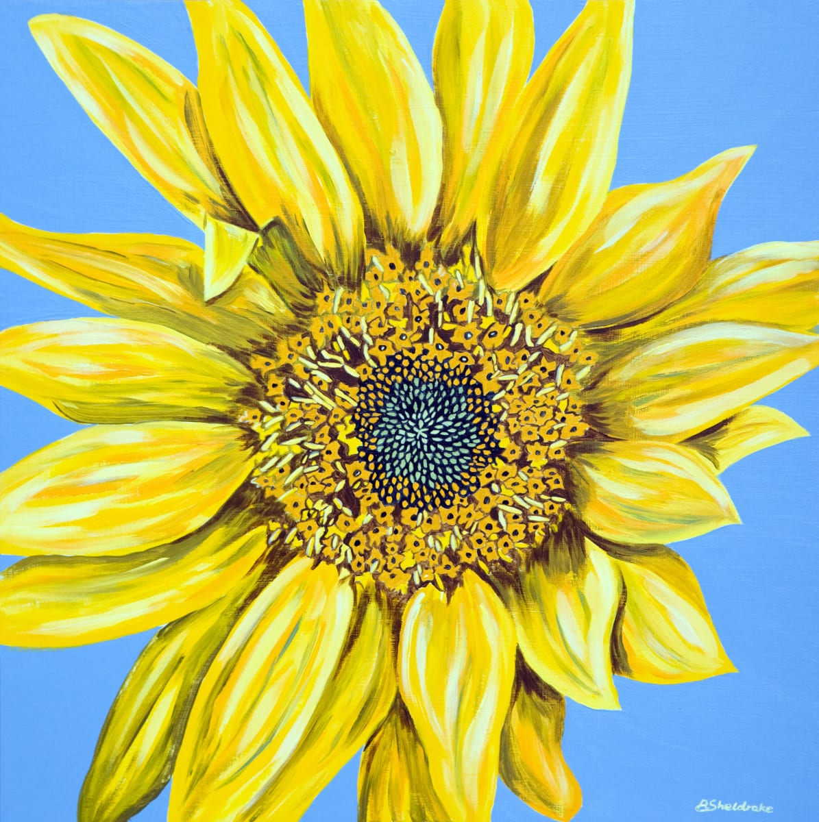 Summertime by Alyson Sheldrake 