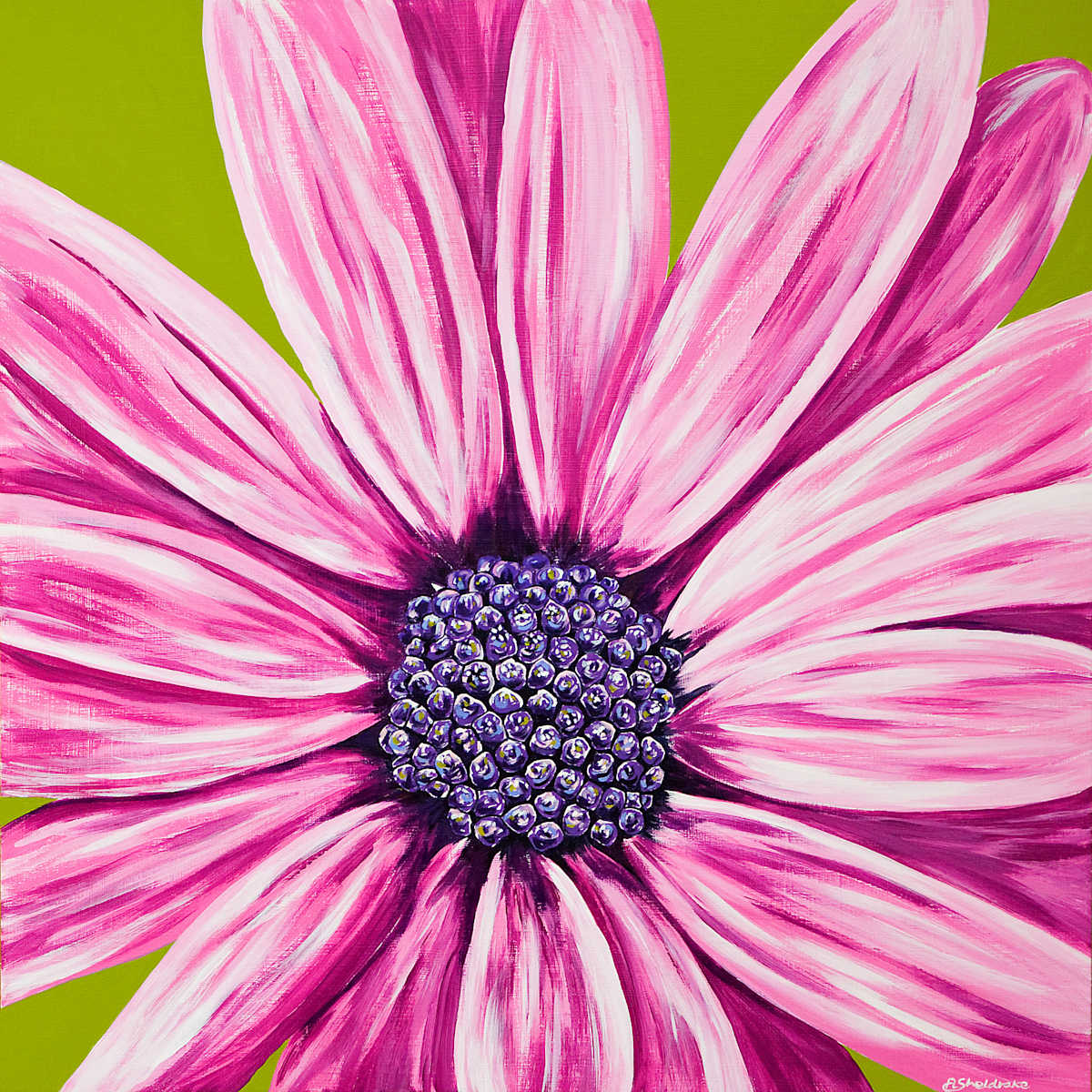 Surprise by Alyson Sheldrake, Image 1.