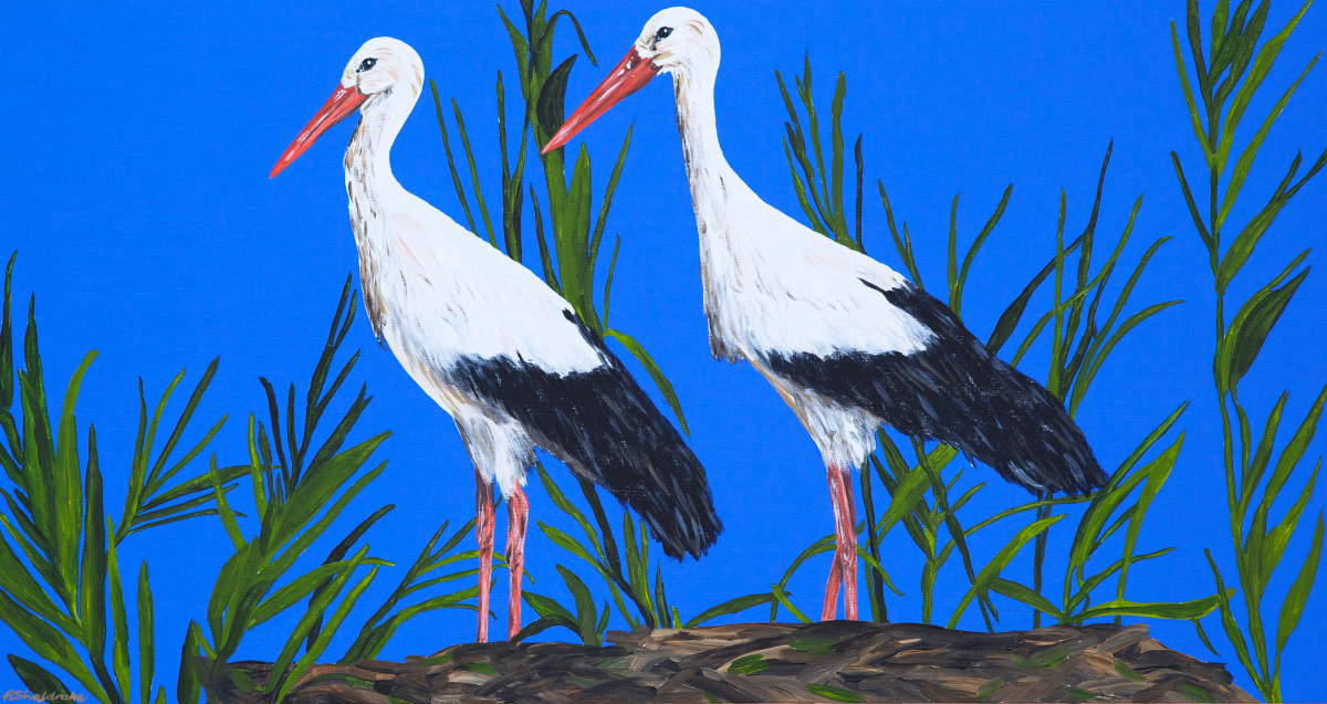 White Storks - Majestic by Alyson Sheldrake 