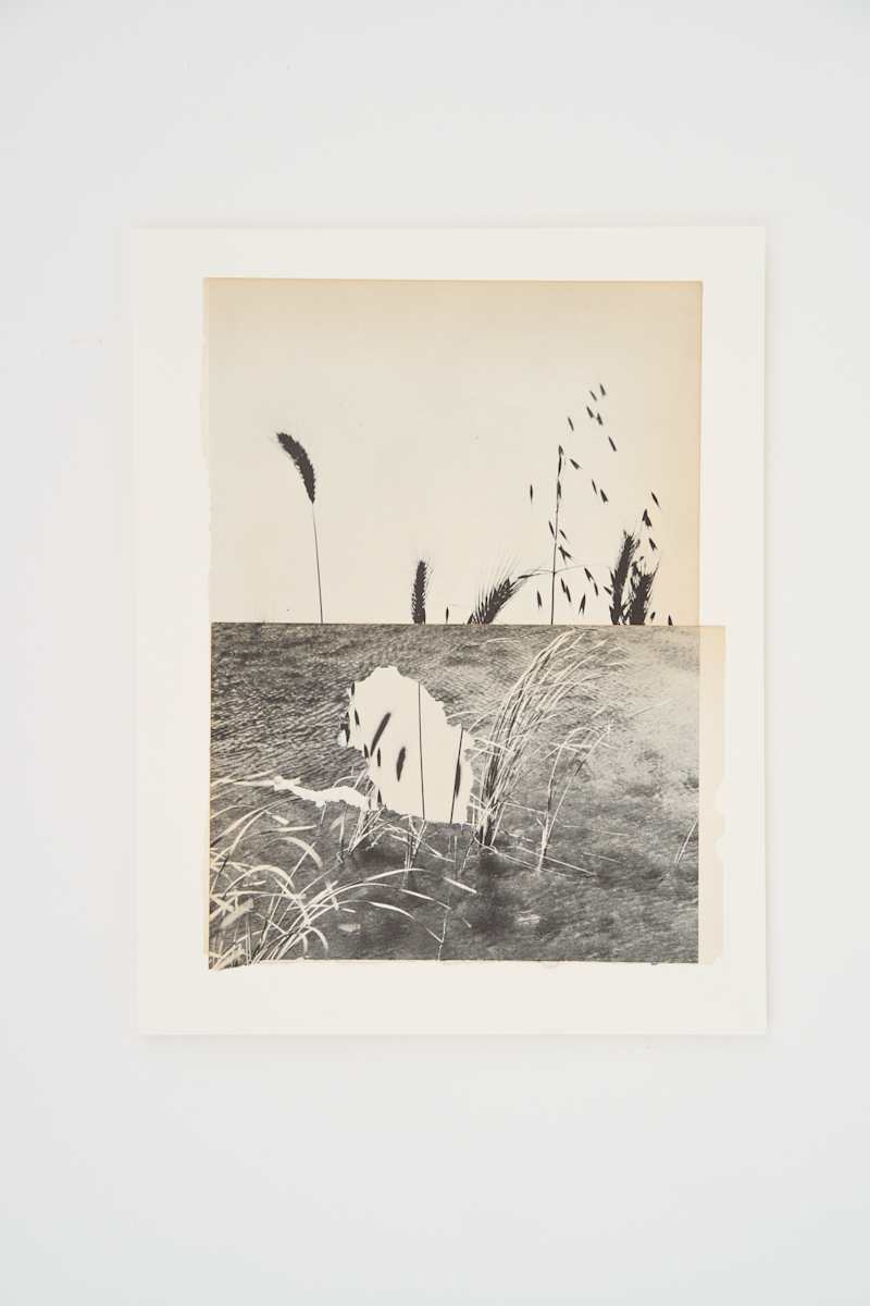 Wheat from Chaff by Amy Berlin, Image 2.