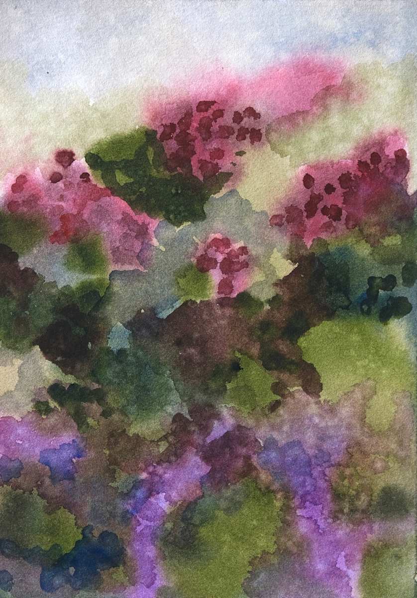 Saughton Gardens in Spring by Lezanne Scott, Image 2.