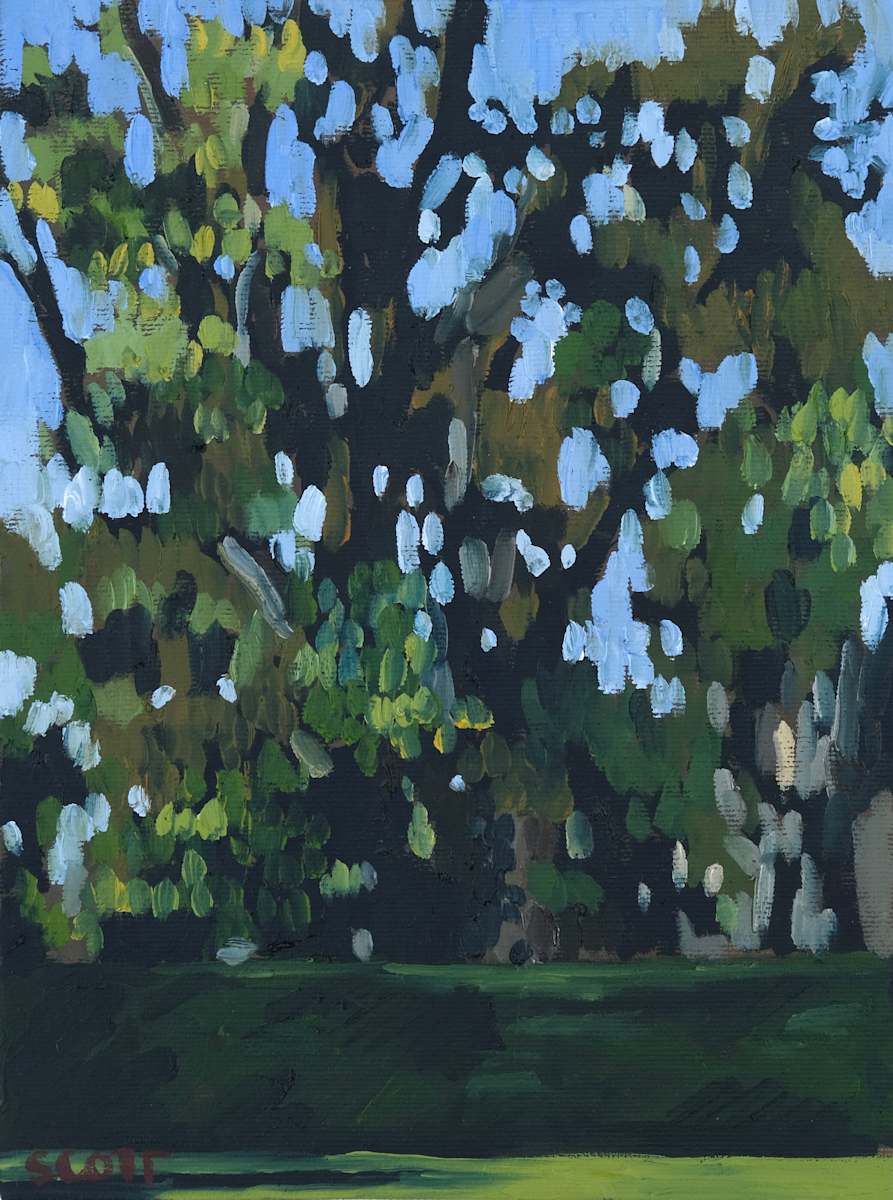 Komorebi II by Lezanne Scott, Image 2.