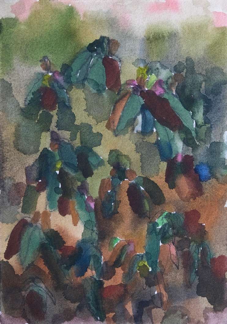 The Rhododendrons by Lezanne Scott, Image 3.