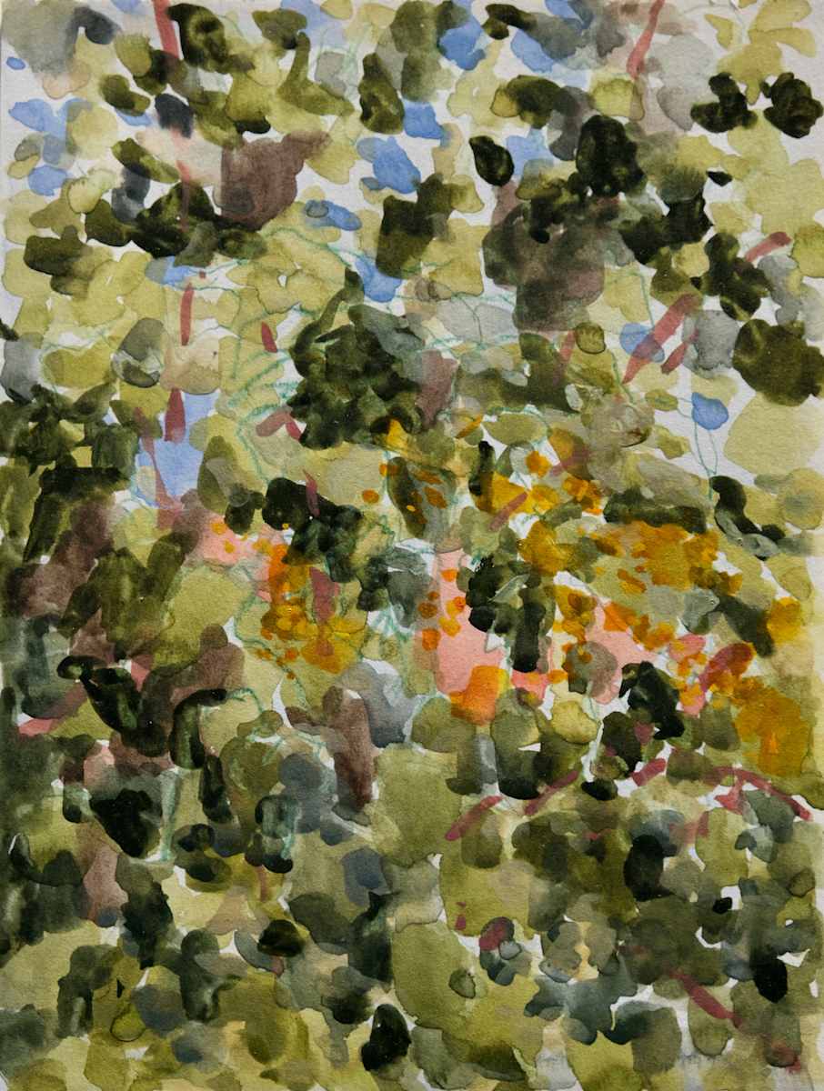 Light Breeze by Lezanne Scott, Image 1.