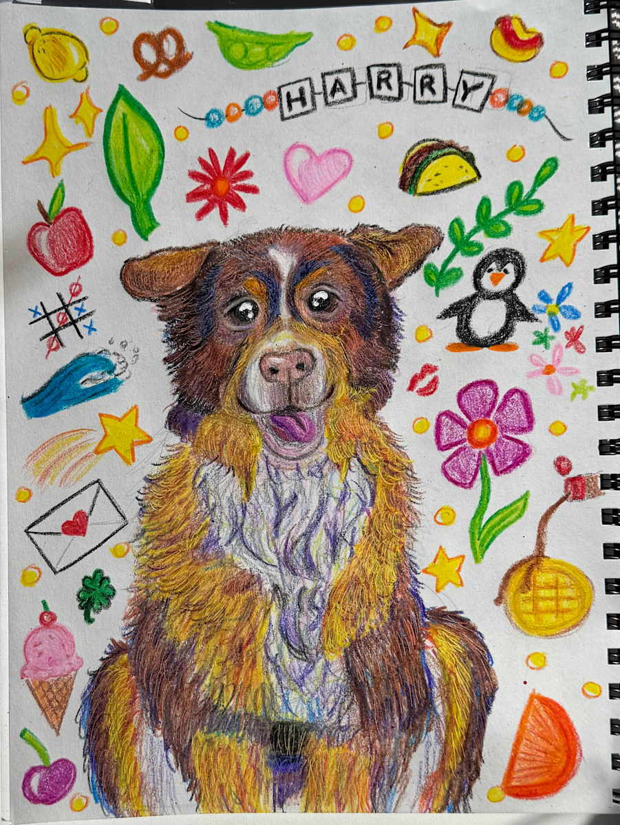 Harry by Ashley Chesna, Image 2.