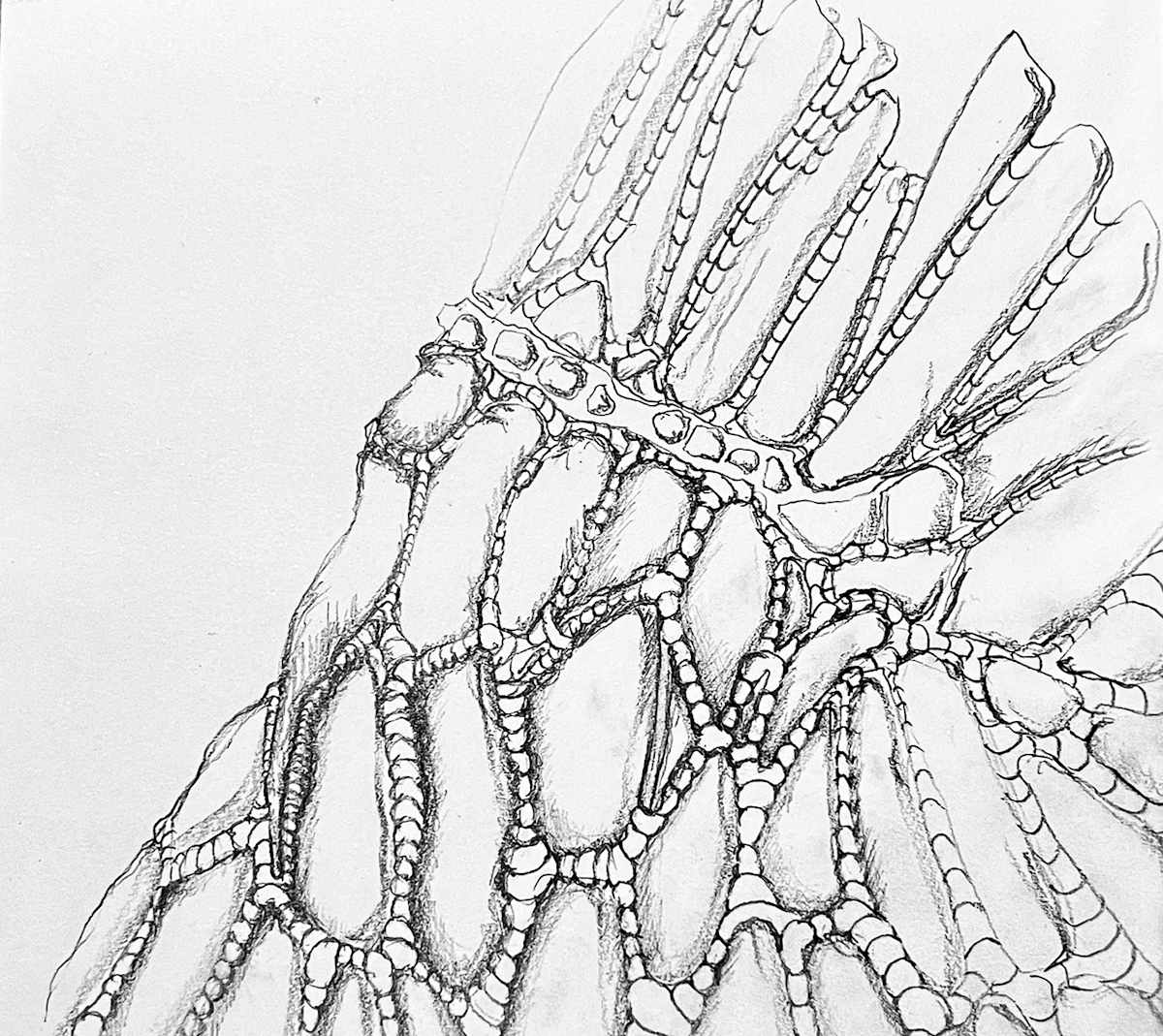 01.12.2024.012.365 by Kristin Street, Image 2.