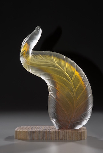 Autumn Fern by Adam Waimon 