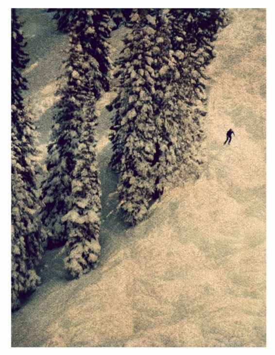 Aspen #8 1996 by John Huggins, Image 2.