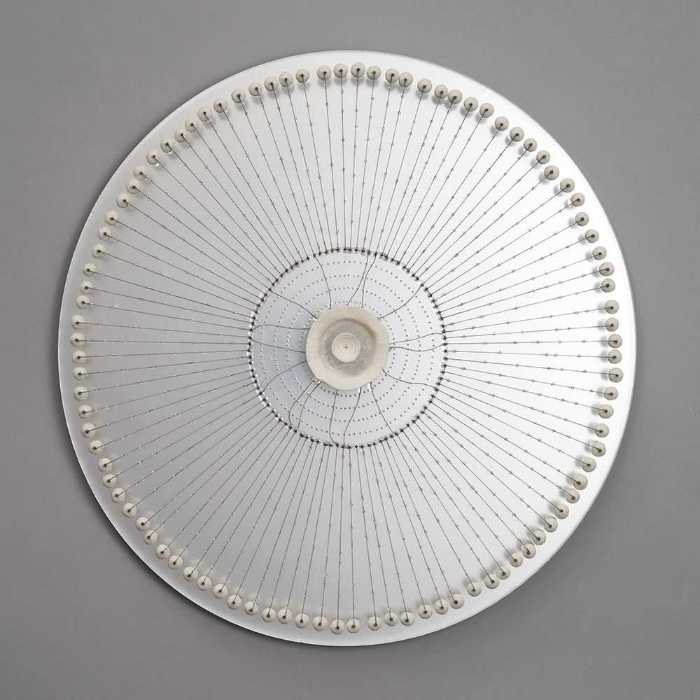 biosystem II by Allison Paschke 