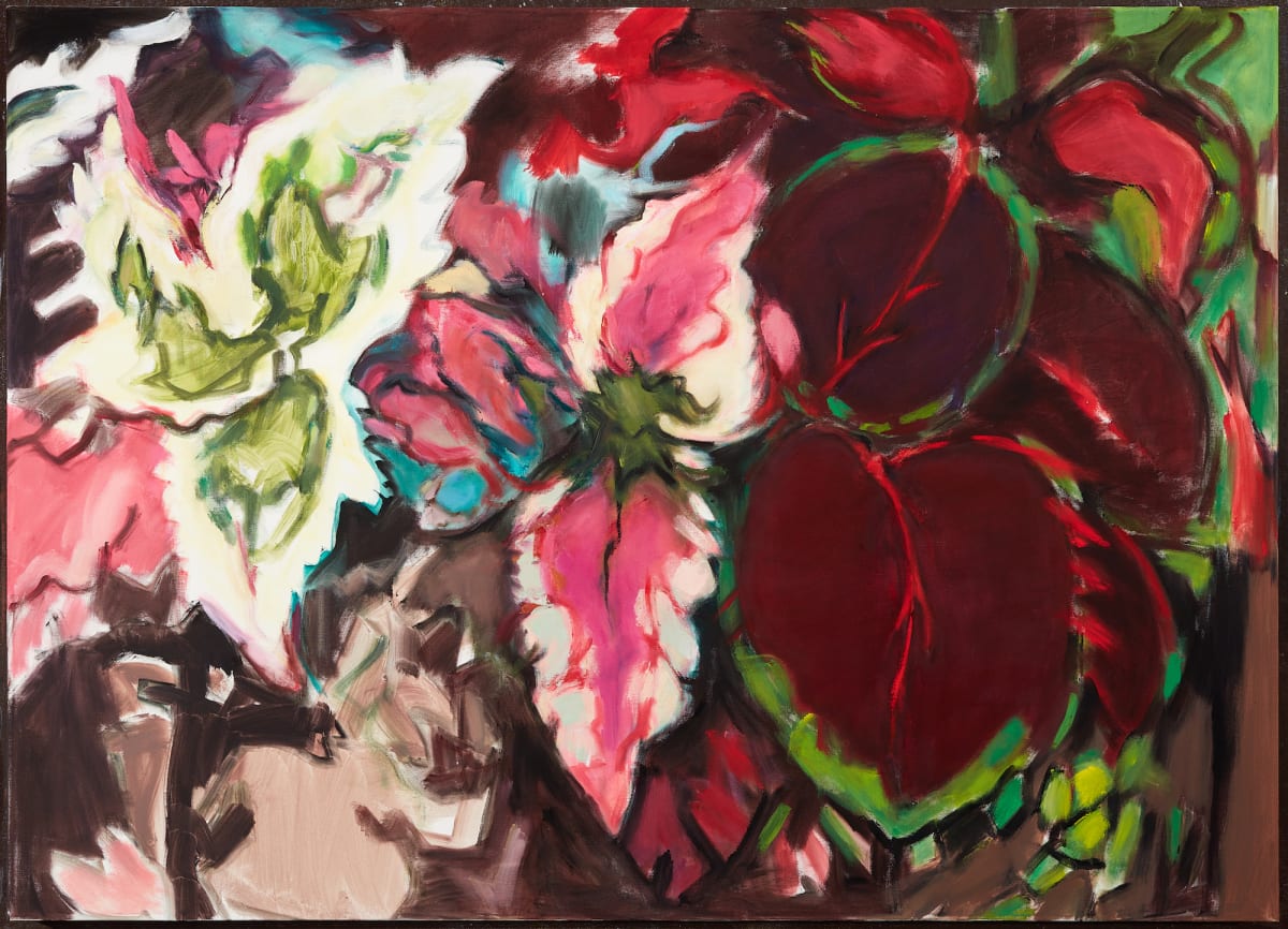 Coleus by Paula Martiesian, Image 2.