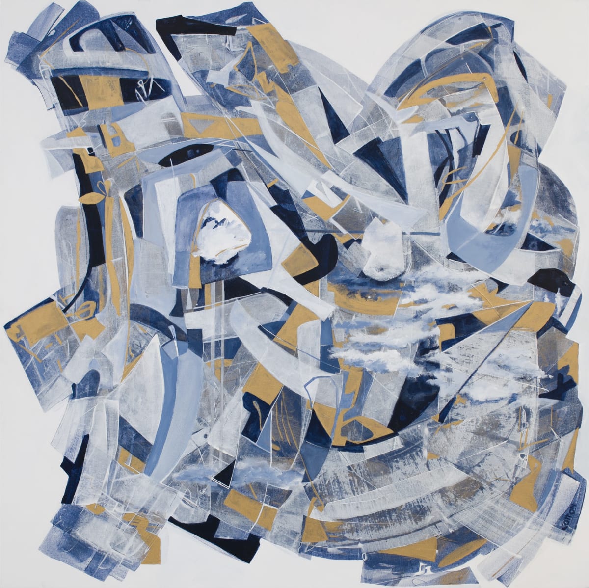 Observation by Courtney Cotton, Image 1.