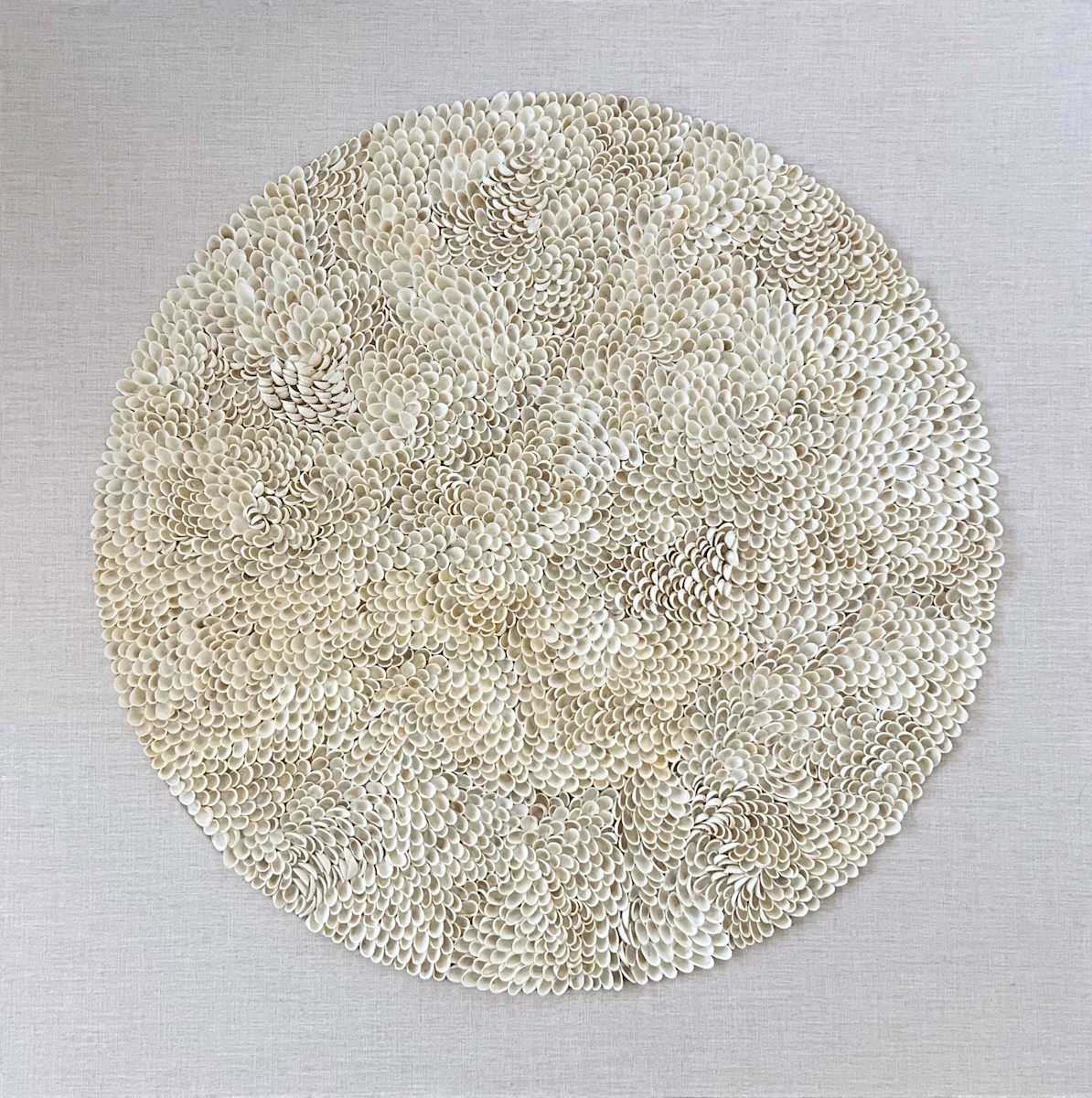 Fanella Series with Cockle Shells by Katarina Tifft, Image 2.