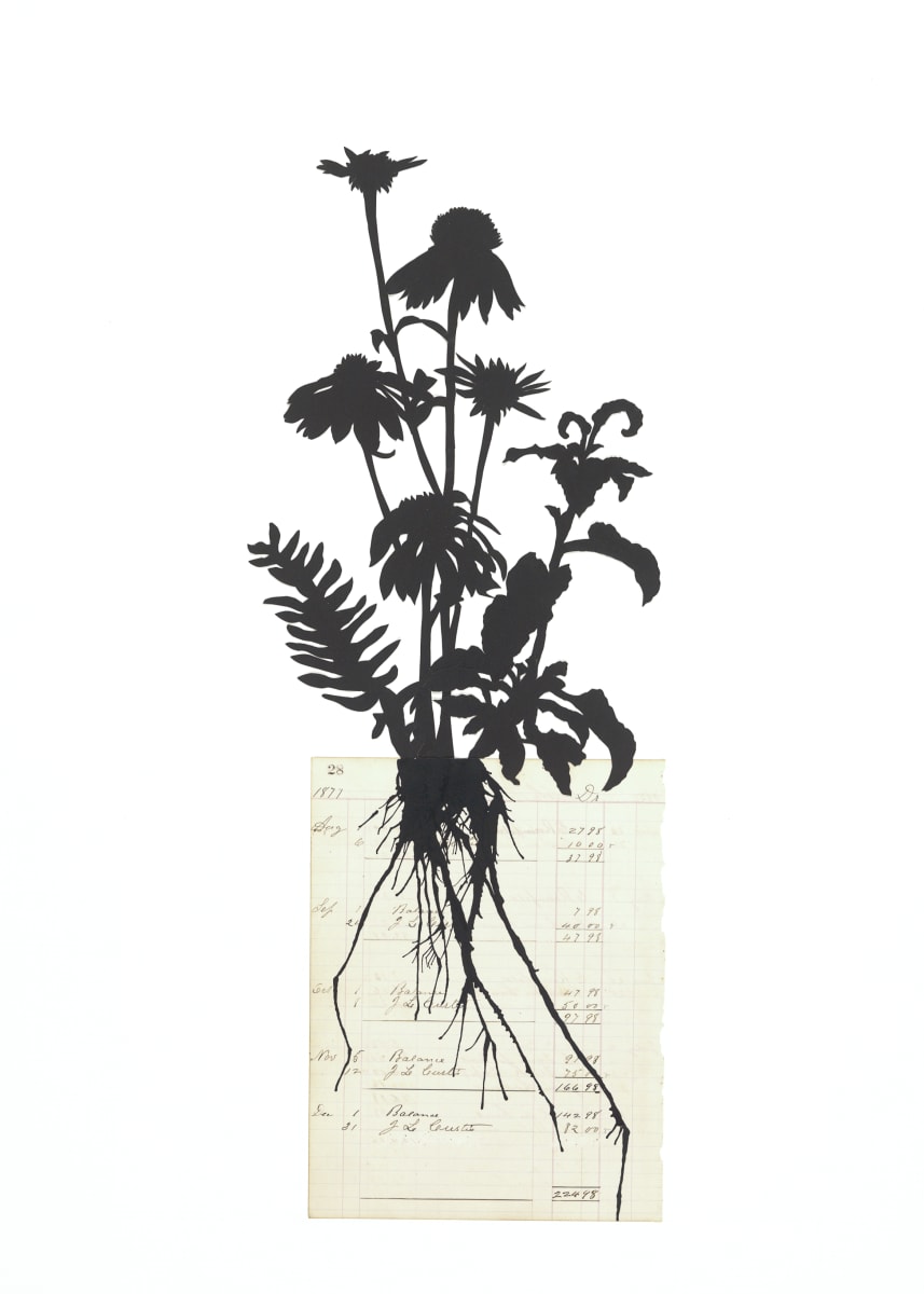 Midnight Blooms No. 3 by Deborah Weiss , Image 1.