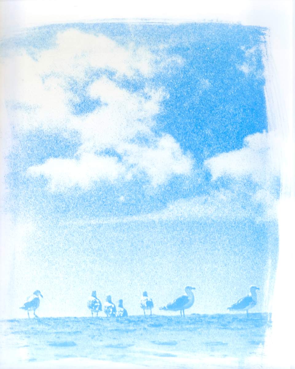 Oceanscape 17 | Framed by Sarah Lawhorne, Image 1.