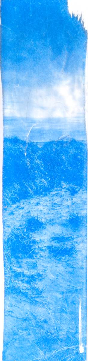 Oceanscape 7 | Framed by Sarah Lawhorne, Image 1.