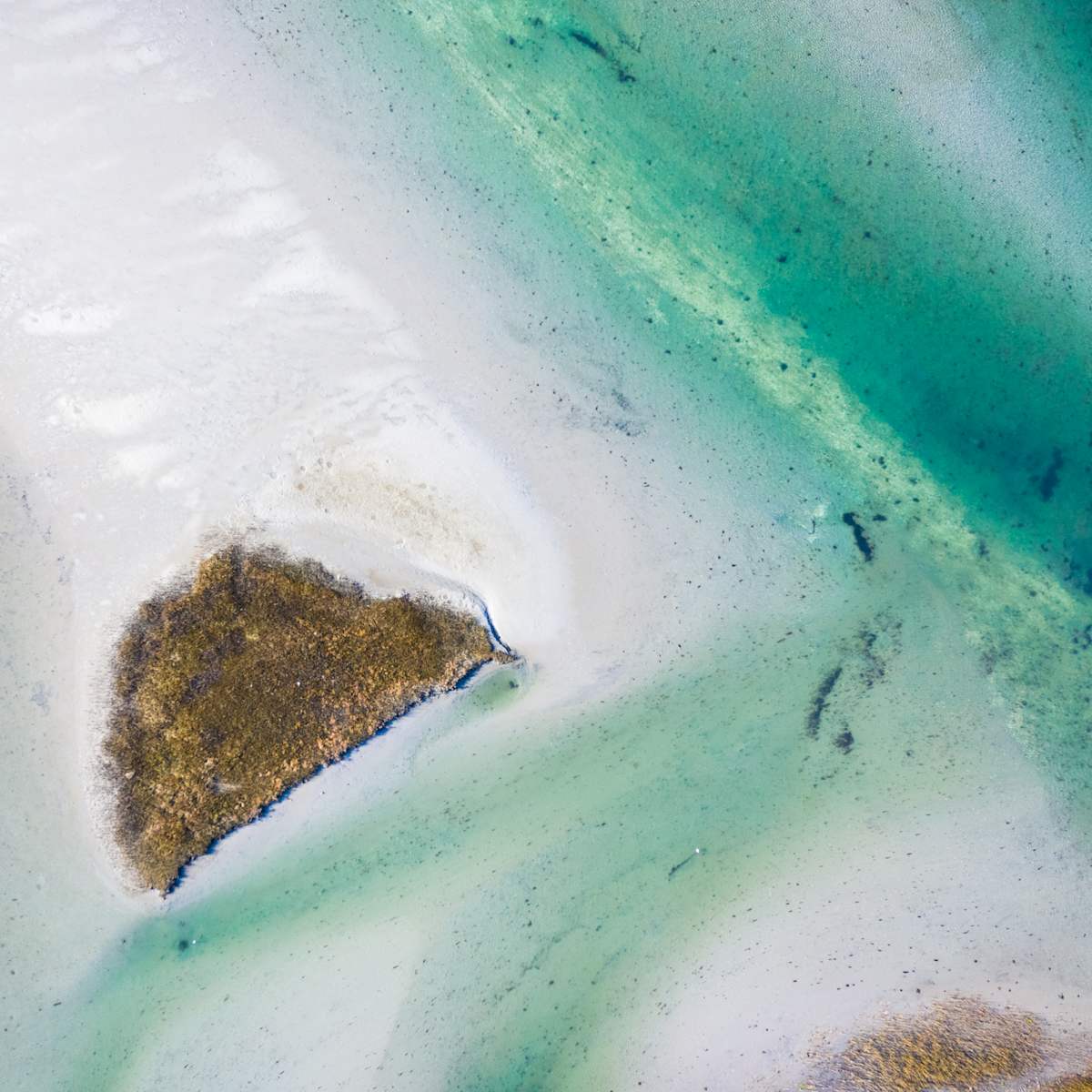 Salt Marsh Aerial #4 by Cate Brown, Image 1.
