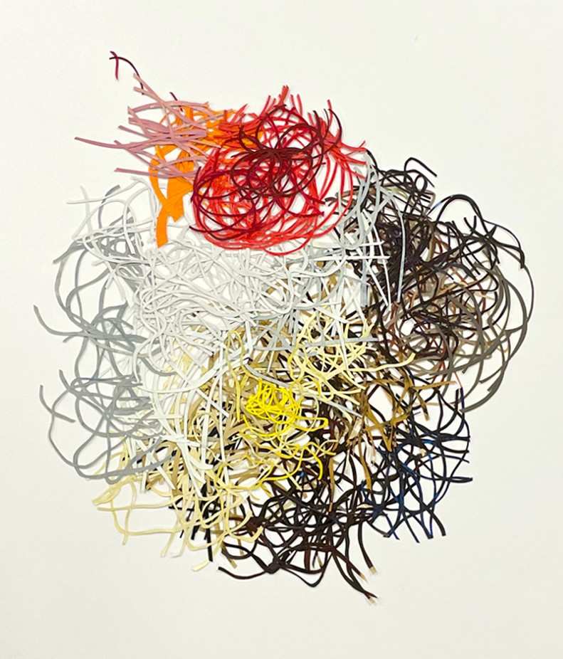 Thicket by Barbara Owen, Image 2.