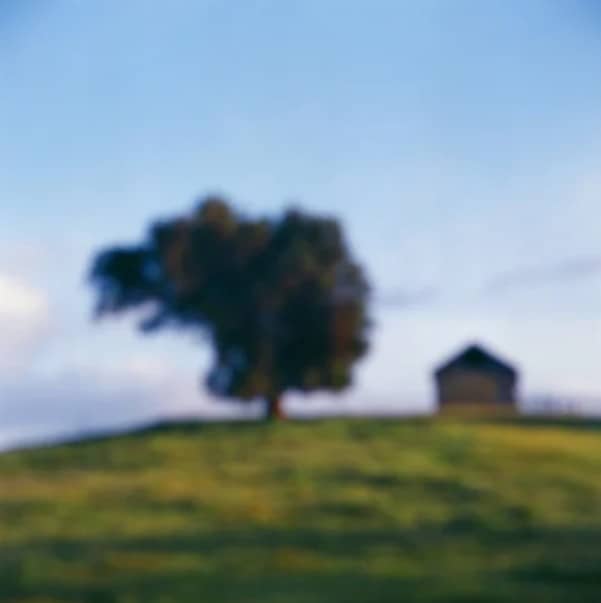 Tree and Barn California, 2014 by John Huggins, Image 1.