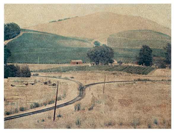 Vineyard, California, 1998 by John Huggins, Image 2.