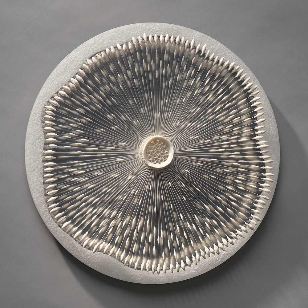 biosystem I by Allison Paschke 