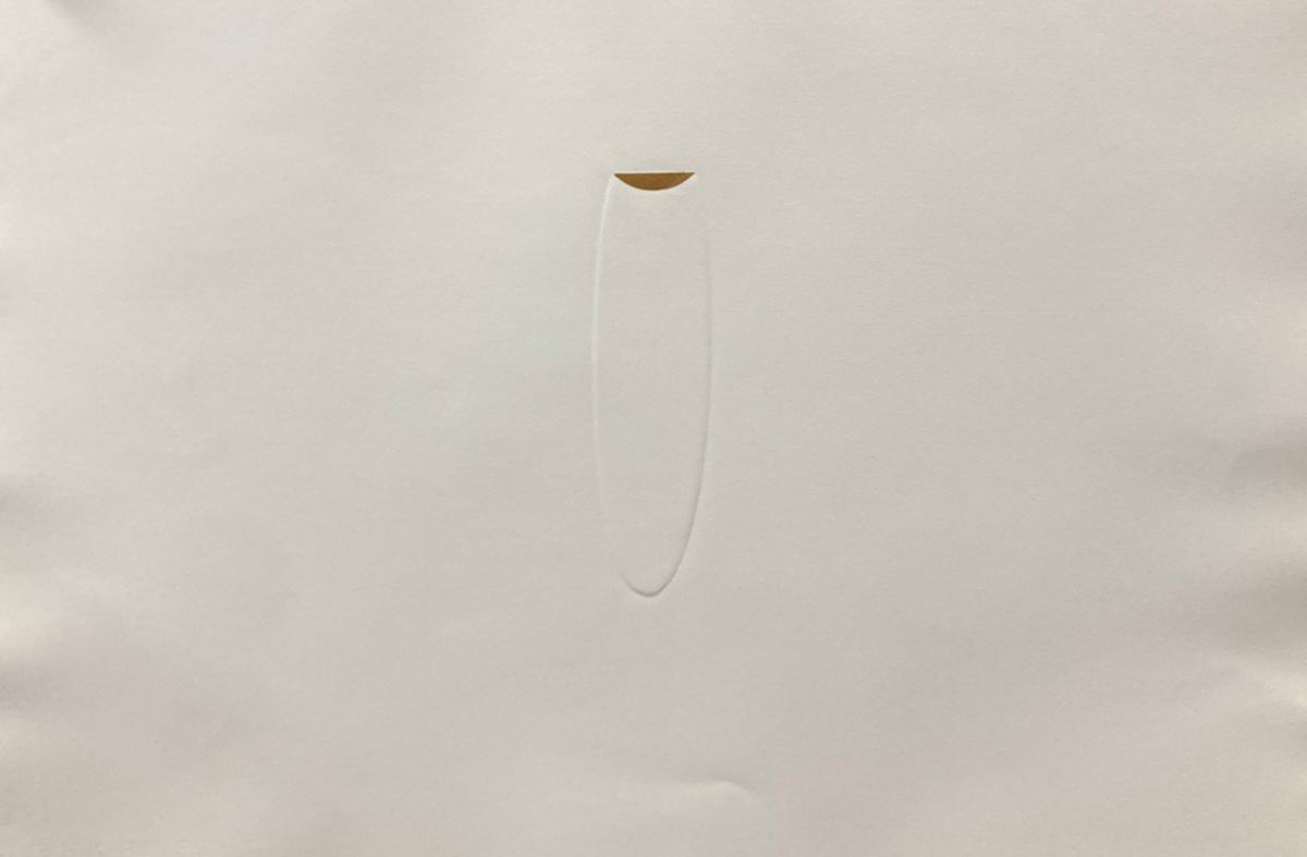 Embossing for Gendered Form by Howard Ben Tre, Image 3.