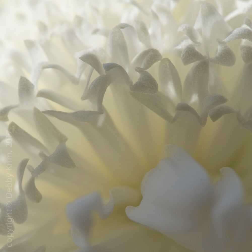 Irregular Alignment by Debby Krim 