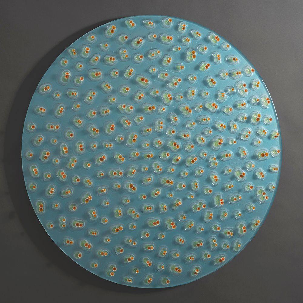 mitosis by Allison Paschke, Image 2.