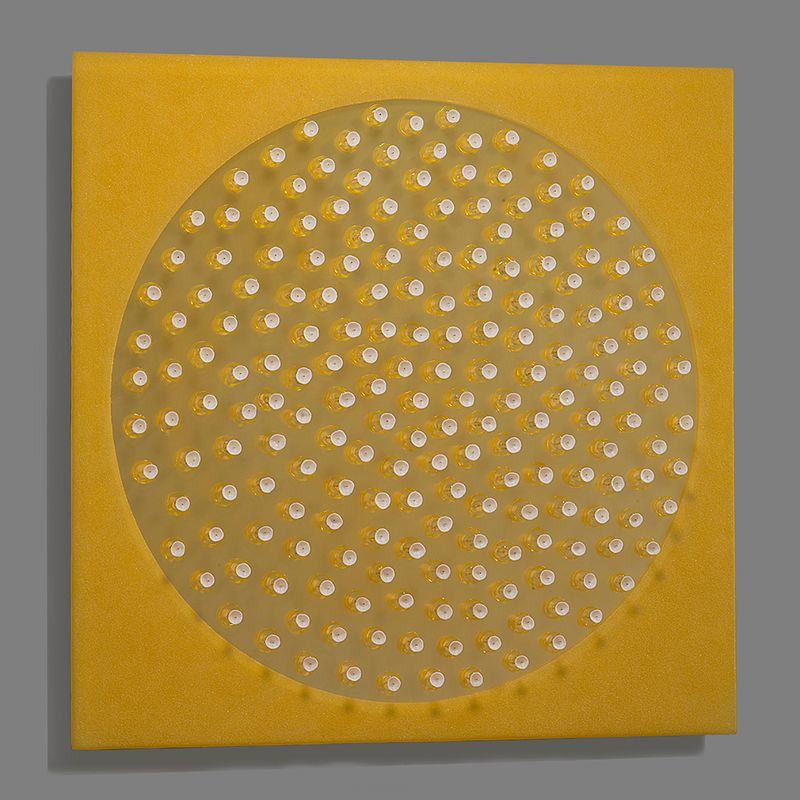 oasis bloom by Allison Paschke 