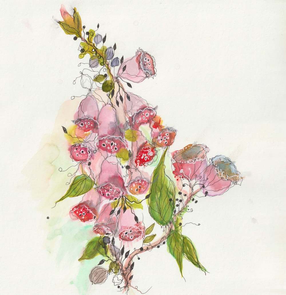 Enchanted Foxglove - Limited Edition Print by Jenny Brown, Image 1.