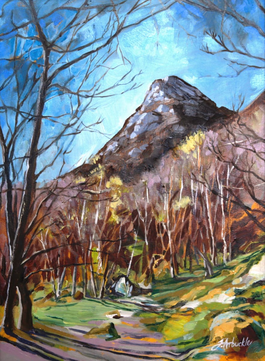 Ben A'an, Clearing by Julie Arbuckle, Image 1.