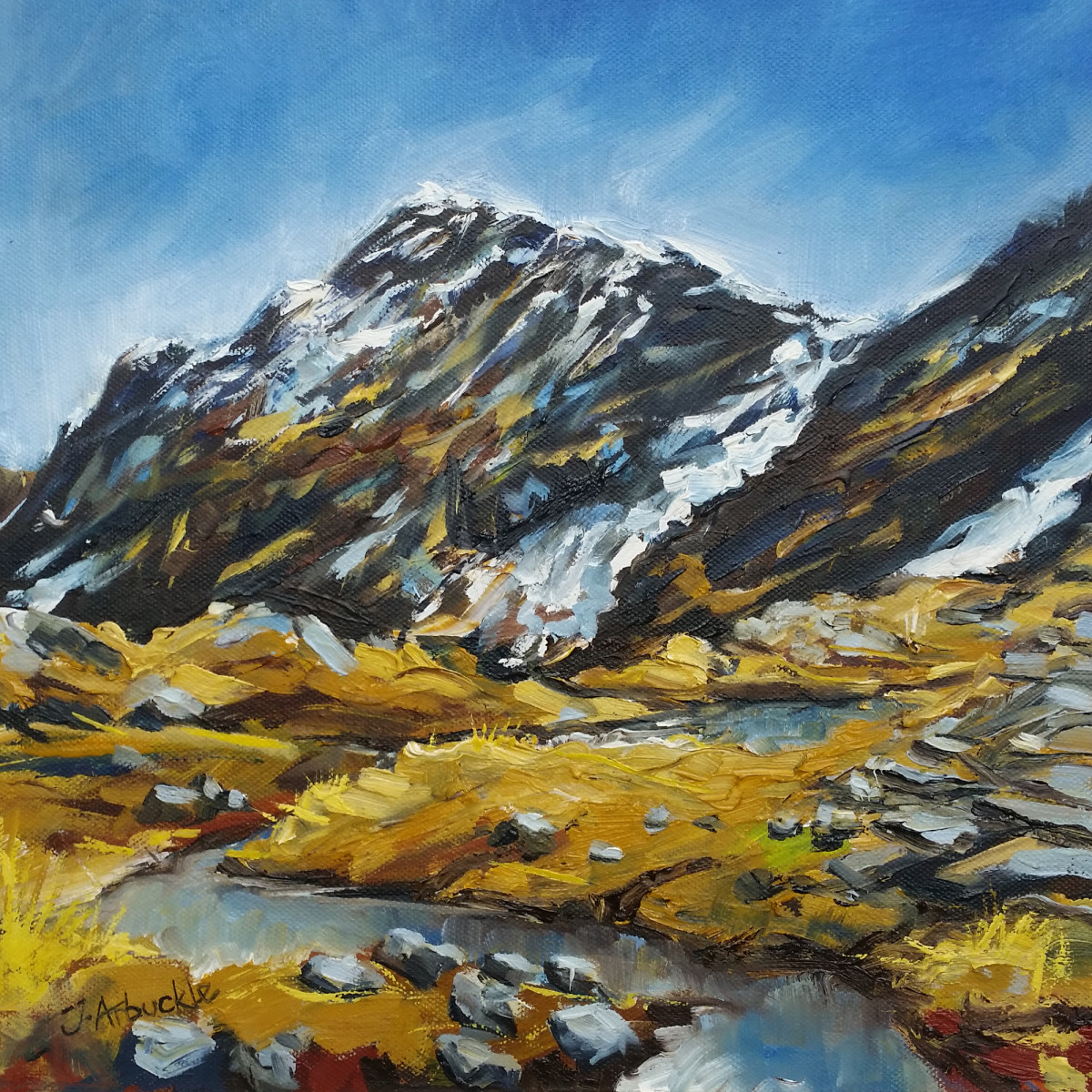 The Last of the Snow by Julie Arbuckle 