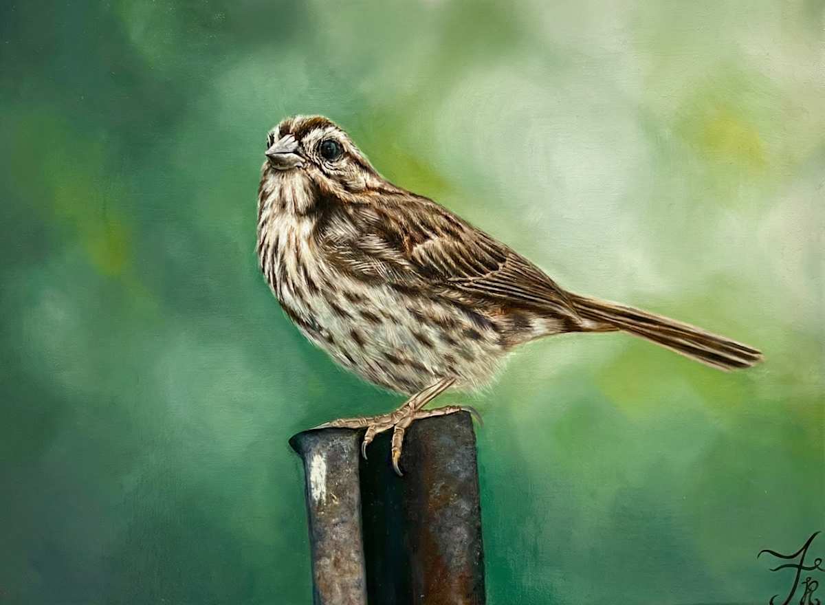 Sparrow in Spring by Rose Rezaei  Image: Sparrow in Spring - Rose Rezaei